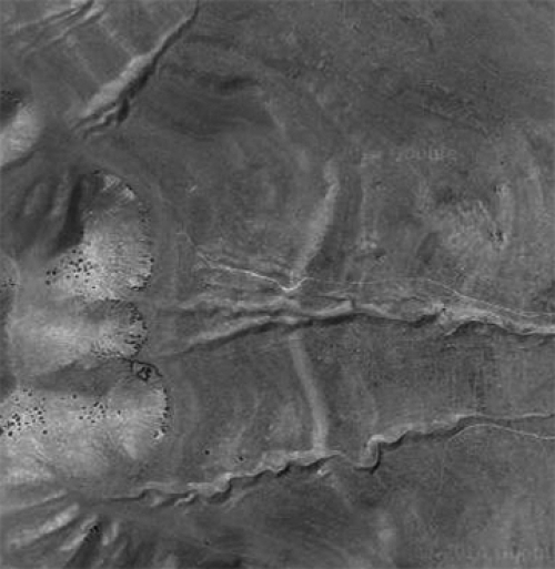 Aerial view of habitat of Cynomys Parvidens: Prairie Dog