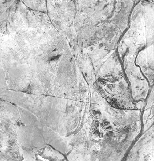 Aerial view of habitat of Empidonax Traillii: Willow flycatcher